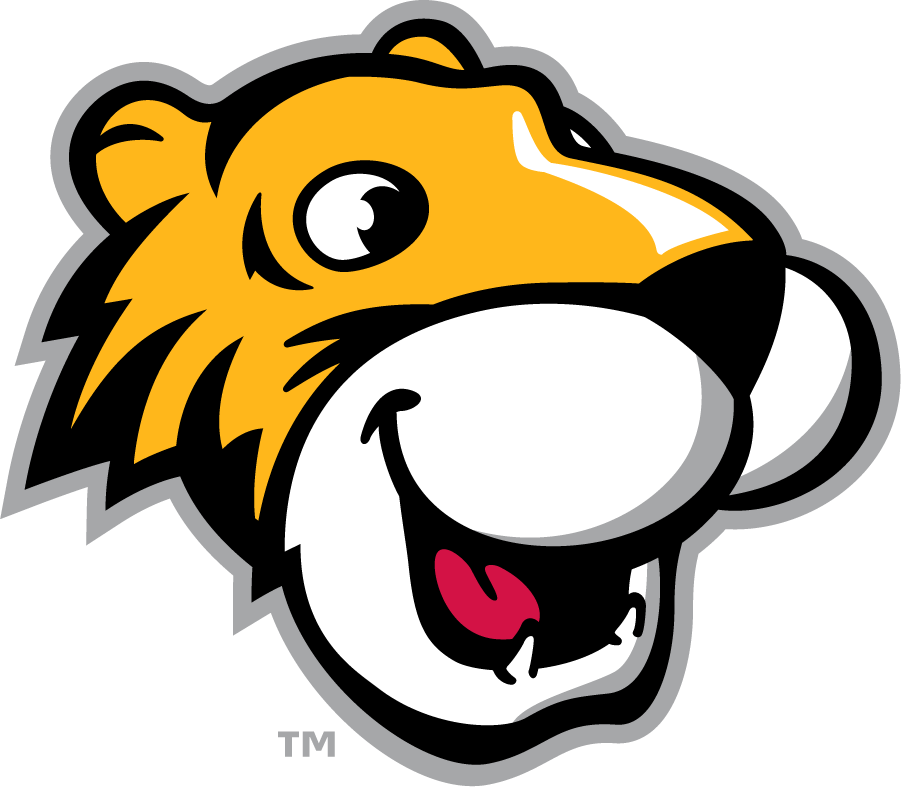 Towson Tigers 2002-Pres Mascot Logo v2 t shirts iron on transfers